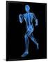 Running Skeleton, Artwork-SCIEPRO-Framed Photographic Print