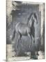 Running Stallion I-Ethan Harper-Mounted Premium Giclee Print