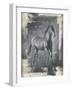 Running Stallion I-Ethan Harper-Framed Art Print