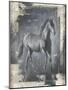 Running Stallion I-Ethan Harper-Mounted Art Print