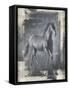 Running Stallion I-Ethan Harper-Framed Stretched Canvas