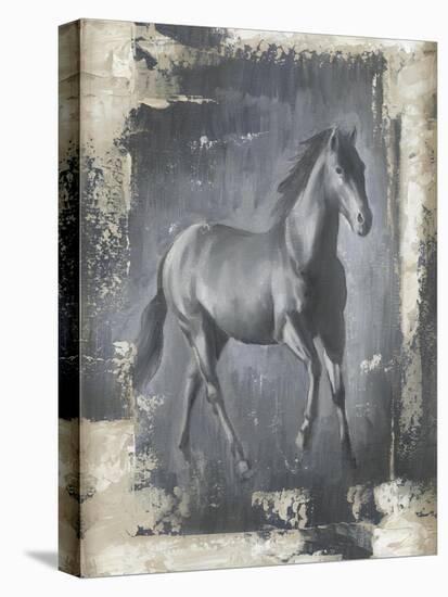 Running Stallion I-Ethan Harper-Stretched Canvas
