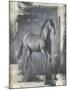 Running Stallion I-Ethan Harper-Mounted Art Print