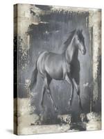 Running Stallion I-Ethan Harper-Stretched Canvas