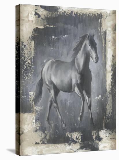 Running Stallion I-Ethan Harper-Stretched Canvas