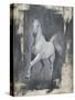 Running Stallion II-Ethan Harper-Stretched Canvas