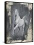 Running Stallion II-Ethan Harper-Framed Stretched Canvas