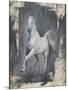 Running Stallion II-Ethan Harper-Mounted Premium Giclee Print