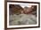 Running Stream-Andrew Geiger-Framed Giclee Print