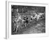 Running the Half Mile at the Civil Service Sports Day, Stamford Bridge, London, 1926-1927-null-Framed Giclee Print