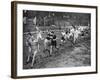 Running the Half Mile at the Civil Service Sports Day, Stamford Bridge, London, 1926-1927-null-Framed Giclee Print