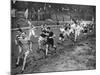 Running the Half Mile at the Civil Service Sports Day, Stamford Bridge, London, 1926-1927-null-Mounted Giclee Print