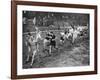 Running the Half Mile at the Civil Service Sports Day, Stamford Bridge, London, 1926-1927-null-Framed Giclee Print