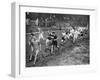 Running the Half Mile at the Civil Service Sports Day, Stamford Bridge, London, 1926-1927-null-Framed Giclee Print