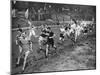 Running the Half Mile at the Civil Service Sports Day, Stamford Bridge, London, 1926-1927-null-Mounted Giclee Print