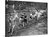 Running the Half Mile at the Civil Service Sports Day, Stamford Bridge, London, 1926-1927-null-Stretched Canvas