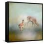 Running to Papa Deer-Jai Johnson-Framed Stretched Canvas