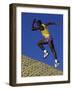 Running Uphill-null-Framed Photographic Print