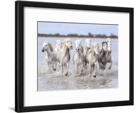 Running Wild Horses-Marco Carmassi-Framed Photographic Print