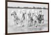 Running wild horses-Marco Carmassi-Framed Photographic Print