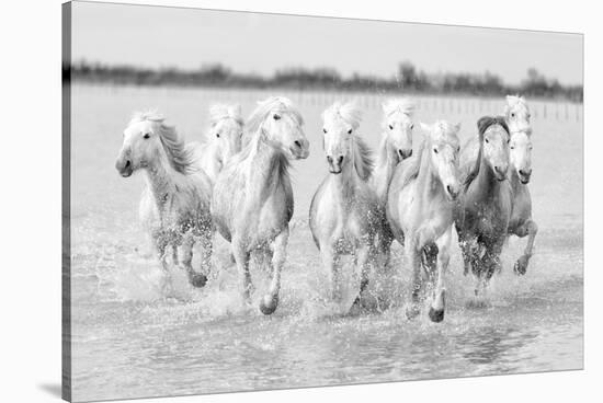 Running wild horses-Marco Carmassi-Stretched Canvas