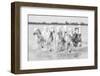 Running wild horses-Marco Carmassi-Framed Photographic Print