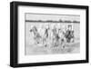 Running wild horses-Marco Carmassi-Framed Photographic Print