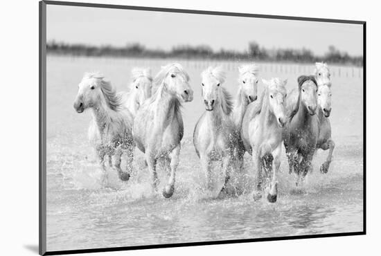 Running wild horses-Marco Carmassi-Mounted Photographic Print