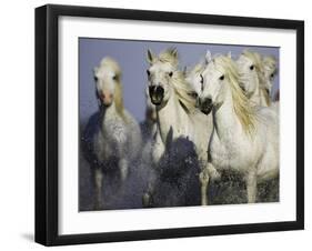 Running Wild-Wild Wonders of Europe-Framed Giclee Print