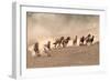 Running Wild-Sally Linden-Framed Photographic Print