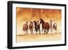 Running Wild-David Drost-Framed Art Print