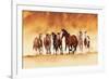 Running Wild-David Drost-Framed Art Print