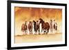 Running Wild-David Drost-Framed Art Print