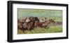 Running-Valtcho Tonov-Framed Premium Giclee Print