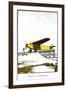 Runway and Monoplane-Found Image Press-Framed Giclee Print