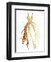 Runway Dress-OnRei-Framed Art Print