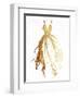 Runway Dress-OnRei-Framed Art Print