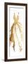 Runway Gold Dress-OnRei-Framed Art Print