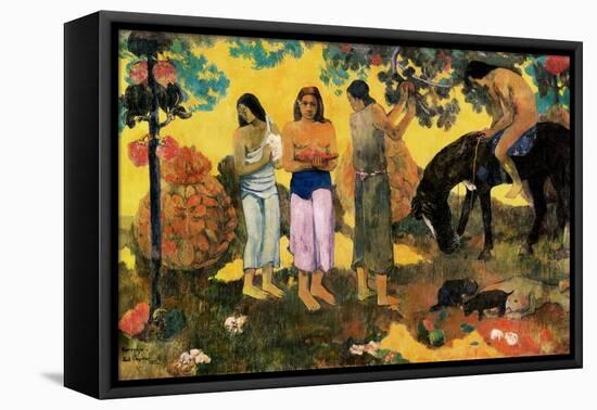 Rupe Rupe (Fruit Gathering), 1899-Paul Gauguin-Framed Stretched Canvas