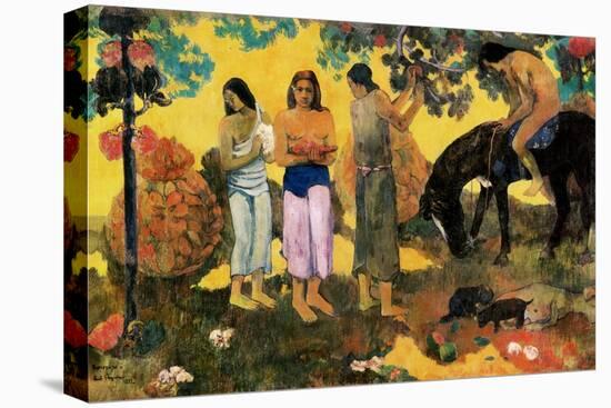 Rupe Rupe (Fruit Gathering), 1899-Paul Gauguin-Stretched Canvas