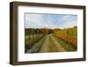 Rural Autumn Scene, Near Villingen-Schwenningen, Baden-Wurttemberg, Germany, Europe-Jochen Schlenker-Framed Photographic Print