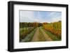 Rural Autumn Scene, Near Villingen-Schwenningen, Baden-Wurttemberg, Germany, Europe-Jochen Schlenker-Framed Photographic Print