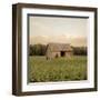 Rural Barn-Donnie Quillen-Framed Art Print