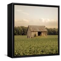 Rural Barn-Donnie Quillen-Framed Stretched Canvas