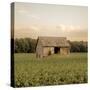 Rural Barn-Donnie Quillen-Stretched Canvas