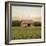 Rural Barn-Donnie Quillen-Framed Art Print