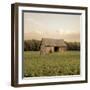 Rural Barn-Donnie Quillen-Framed Art Print