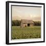 Rural Barn-Donnie Quillen-Framed Art Print