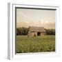 Rural Barn-Donnie Quillen-Framed Art Print