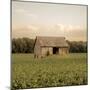 Rural Barn-Donnie Quillen-Mounted Art Print